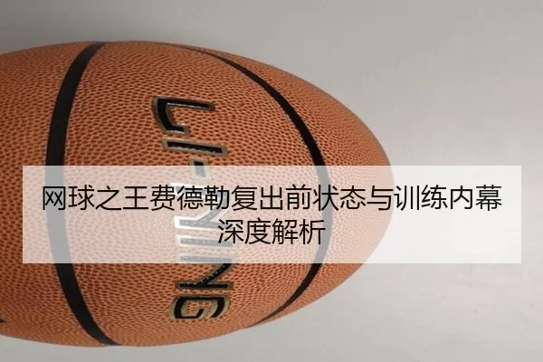 网球之王费德勒复出前状态与训练内幕深度解析